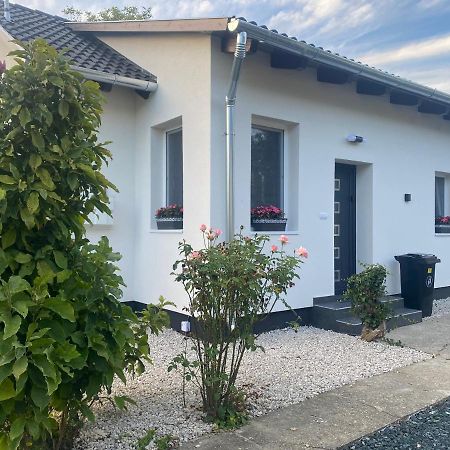 Dora Vendeghaz Apartment Летение Екстериор снимка